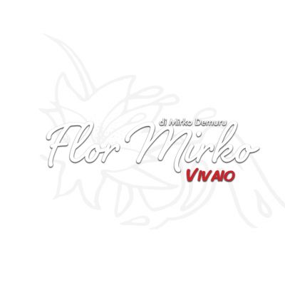 FLOR MIRKO SNC